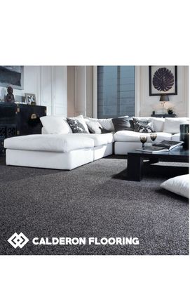 Plush Carpet 
 Living Room