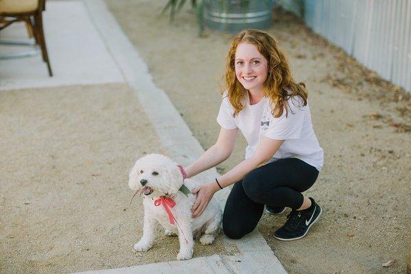 Wedding Dog Care