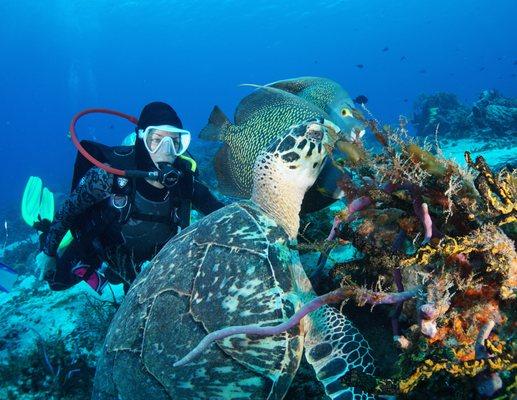 Becca with friends on Cozumel's famous Palancar reef.