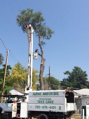 We have 2- 65 foot forestry buckets for accessing front yard trees