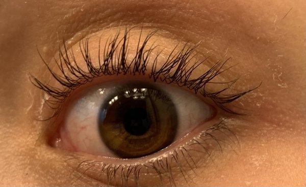 Wonky and gluey lash lift