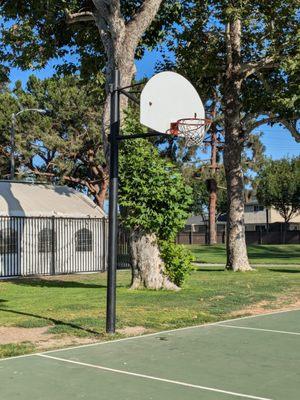 This basket has a net