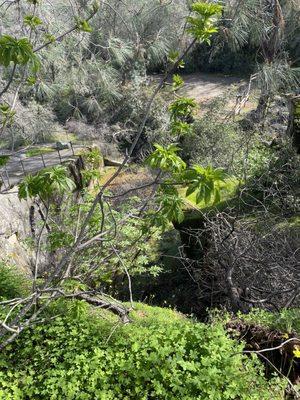 Griffith Quarry Park