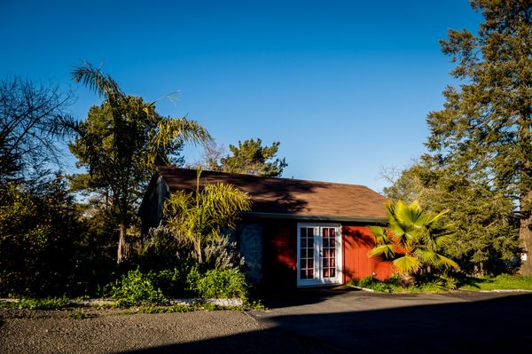 Guest Cabin