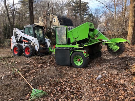 Stump Grinding