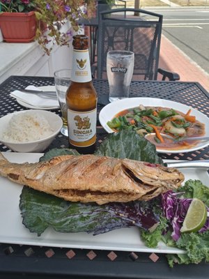 The fried snapper with the thai sauce and jasmin rice is out of this world ..