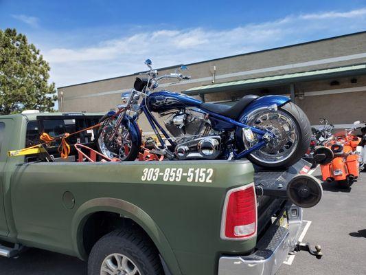 Big dog going to Rocky Mountain Harley.