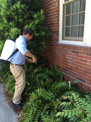 Exterior treatments are the foundation to our Earth Friendly Pest Program.  99% of all pests come from the immediate exterior...