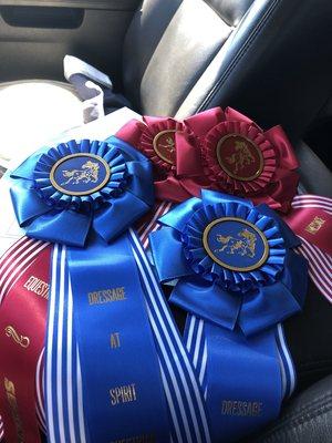 Ribbons from dressage show.