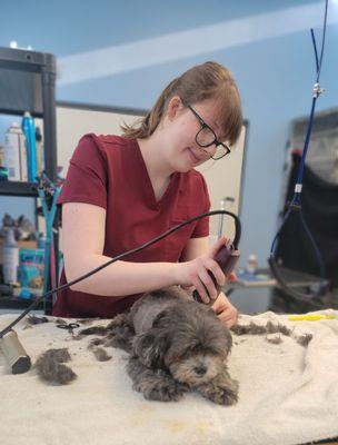 Book your pet's next groom appointment with Sarah - our fantastic groomer!