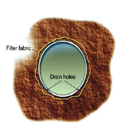 Septic drain