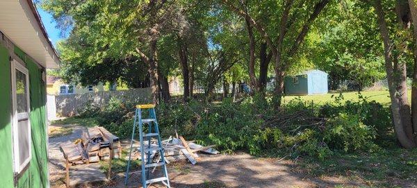 Photo is during tree trimming process. Thomas Handyman also cleaned up and hauled all debris away!