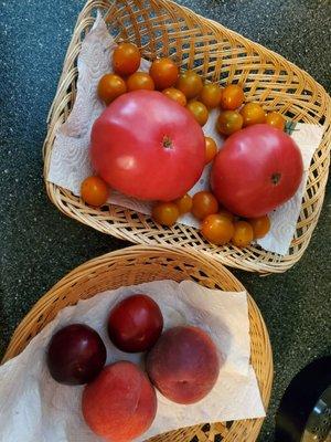 Tomatoes, peaches, and plums. Oh, yum!