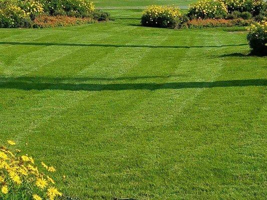 Lawn CareServices