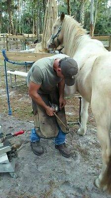 SCOTTS THE BEST FARRIER...hands down!