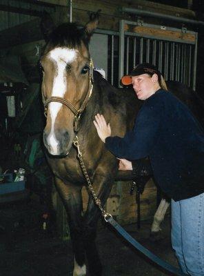 Dana works on horses with a referral from your veterinarian.