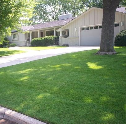 Weekly Mowing with Organic Fertilization