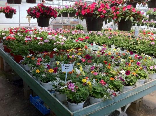 Small Cemetery baskets