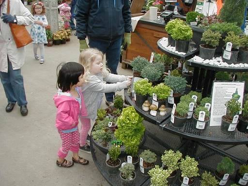 We hosted Jack & Jill Preschool yesterday. Their mission? To build their first terrarium!