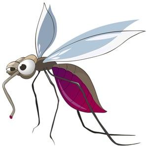 Mosquito Control in Southwest Florida