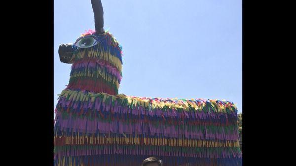 Big Piñata