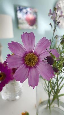 fresh garden flowers adorn the shop, always