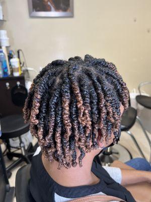 Two Strand Twist from Serenity Hair Spa