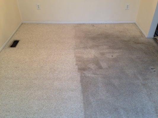 Before & After Carpet Cleaning