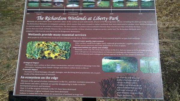 about the wetlands