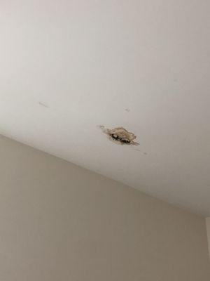 Water leak in the second bedroom