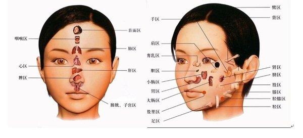 Reflex Map of Face