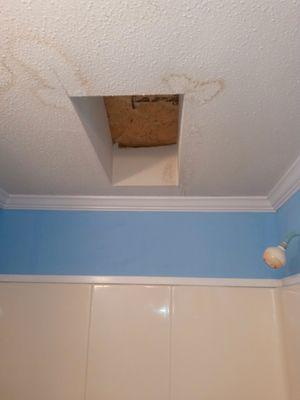 Ceiling repairs