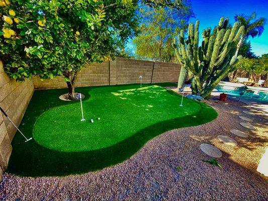 AirBnB putting green installation.  The incorporated orange tree sets this design off!!