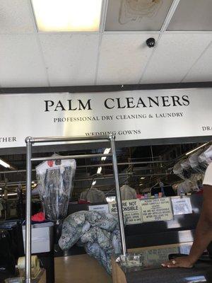 Palm Cleaners