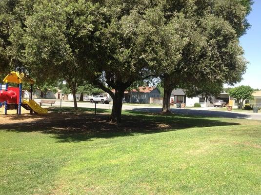 Plenty of shade trees