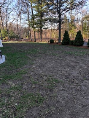 Rear Lawn after a season with Natural Lawn of America treatment!