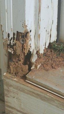 First choice pest control found termite damage at this property in stone mountain