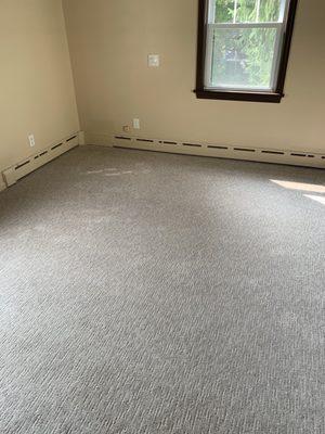 Master bedroom carpet!