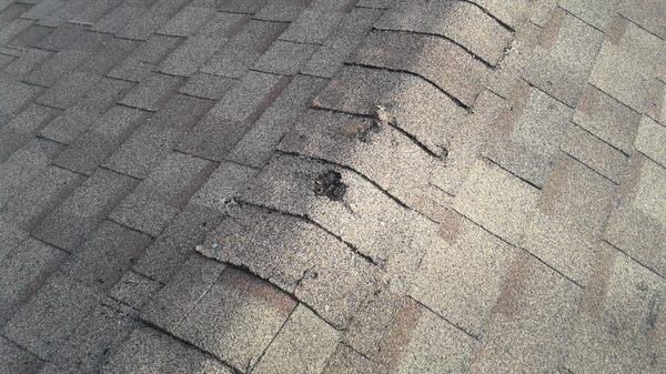 Deteriorated roofing shingles.