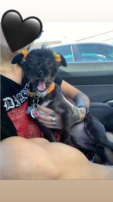 After her haircut, they even put cute flowers in her hair!