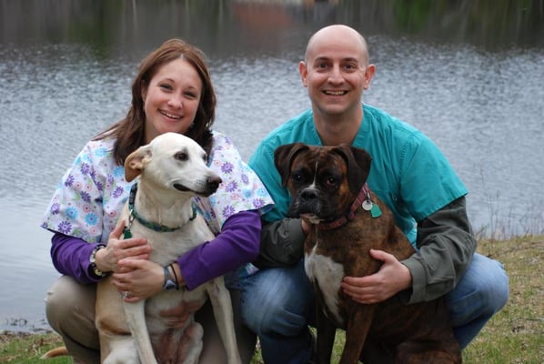 Southern New England Veterinary Care