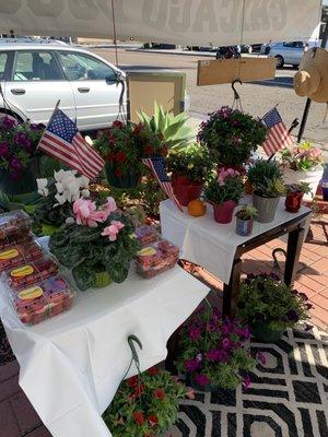 Flowers and Fresh Strawberries for sale! How adorable!