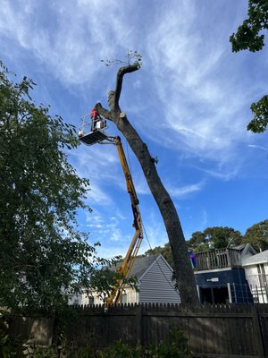 Bernard Landscaping