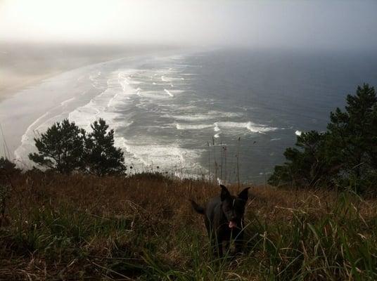 Newport Beach from Yaquina light house.