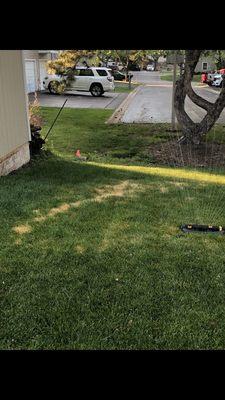 Watering the dead grass