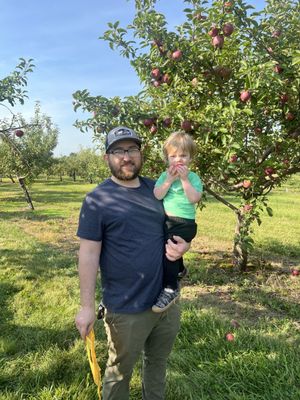 Gala apple orchard