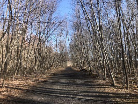 The main trail at Allamuchy.