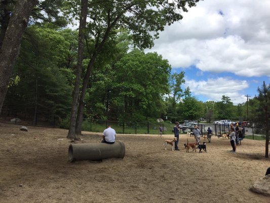 Sand dog park