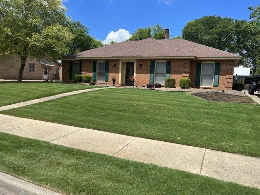 Smooth solutions manicures my lawn. Another company ruined a patch in my grass and smooth is bringing it back to life.