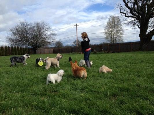 Dogs love our boarding facility!